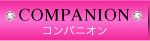 コンパニオン
